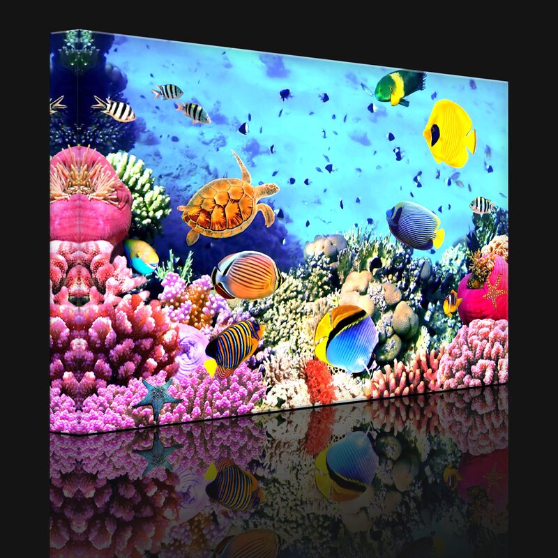 lightbox-multicolor Leinwandbild Bunte Fische über dem Korallenriff